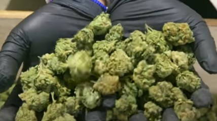 Blounts & Moore hopes to destigmatize the cannabis business