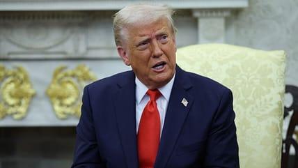 ‘Homegrowns are next’: Trump provokes fears for Black US citizens with  legally dubious deportation proposal